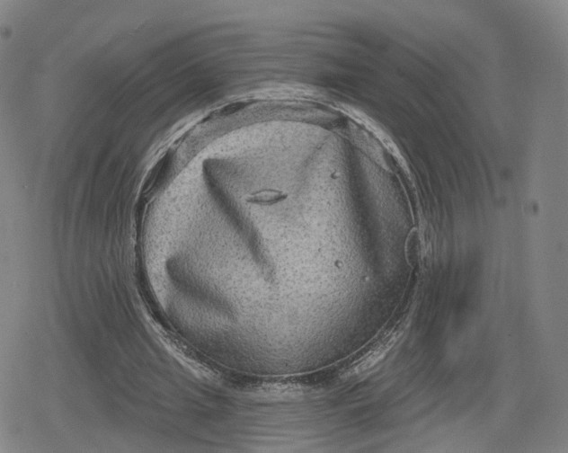 X0000079580437200612221434