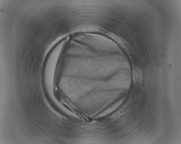 X0000079580438200612221434