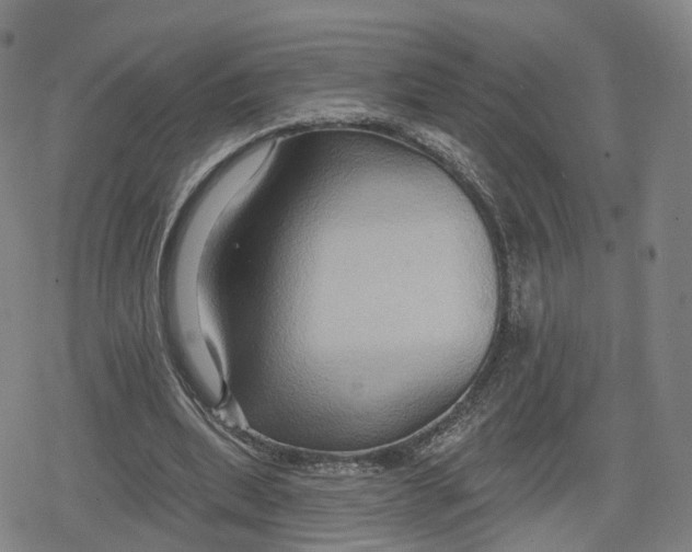 X0000079580439200612221434