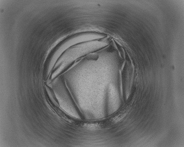 X0000079580440200612221434