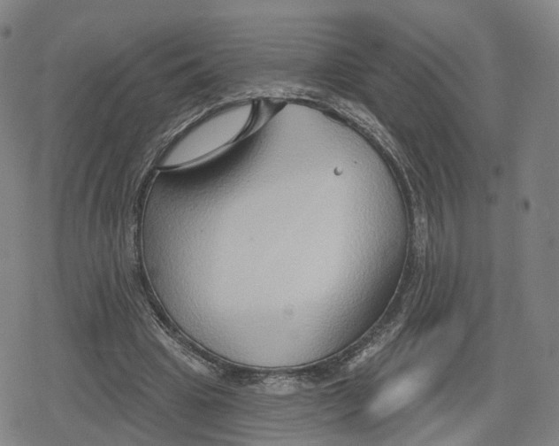 X0000079580441200612221434