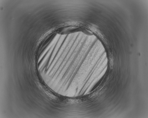 X0000079580442200612221434