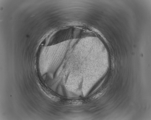 X0000079580443200612221434