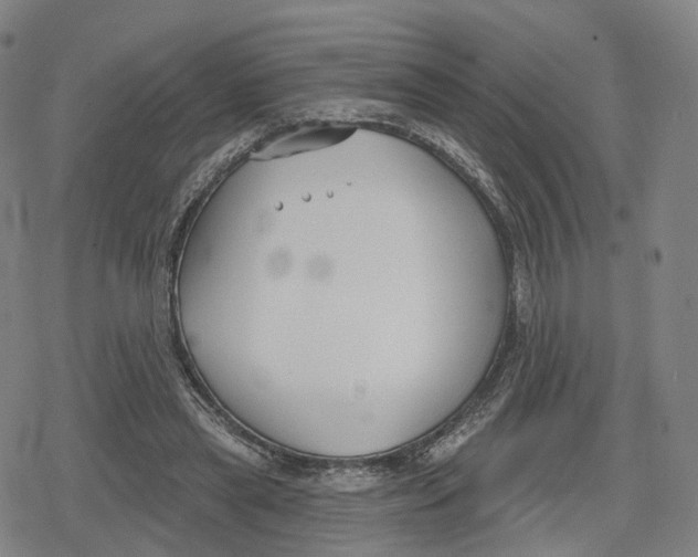 X0000079580445200612221434