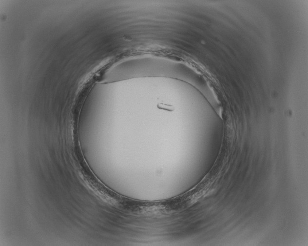 X0000079580446200612221435