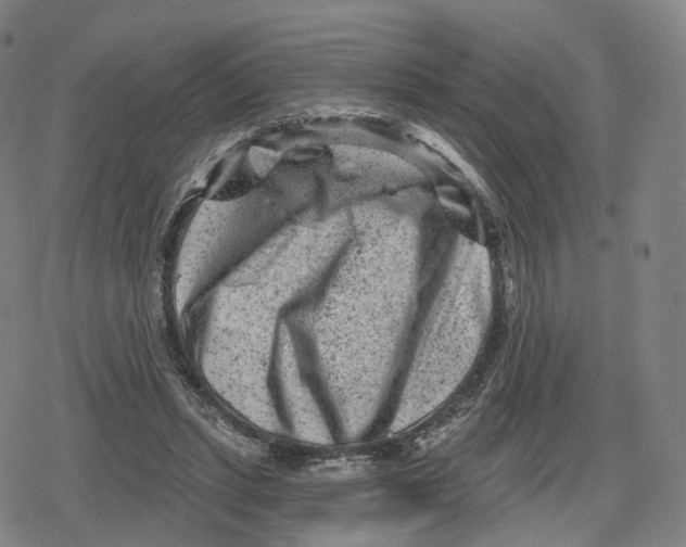 X0000079580447200612221435