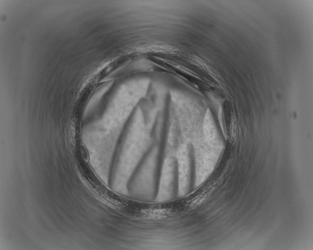 X0000079580448200612221435