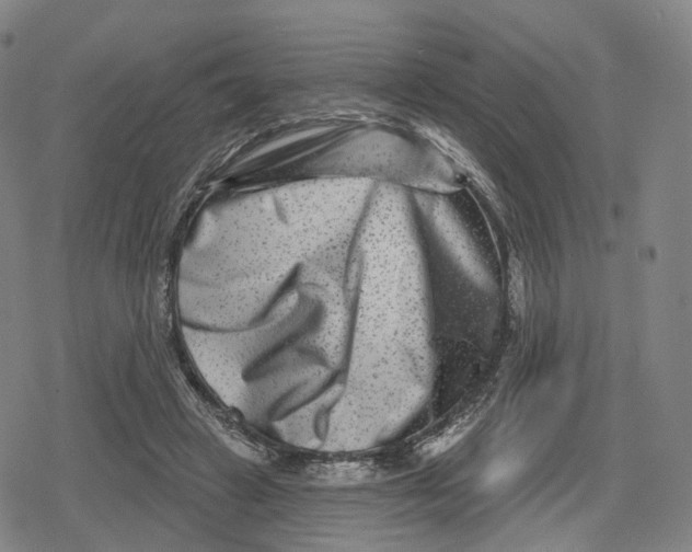 X0000079580449200612221435