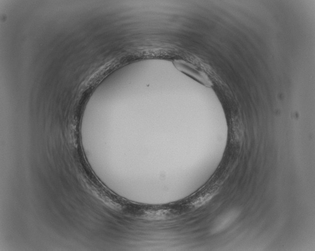 X0000079580450200612221435