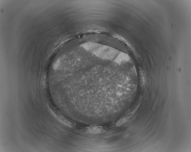 X0000079580451200612221435