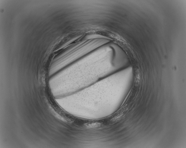 X0000079580452200612221435