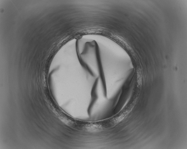 X0000079580453200612221435