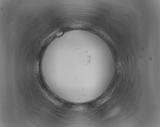 X0000079580454200612221435