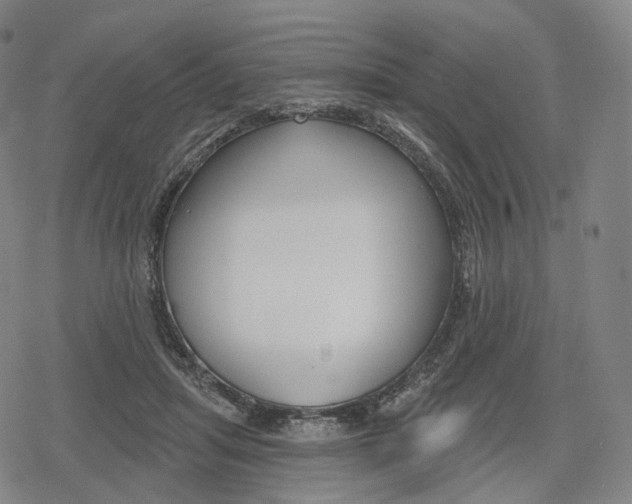 X0000079580455200612221435