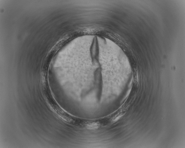 X0000079580456200612221435