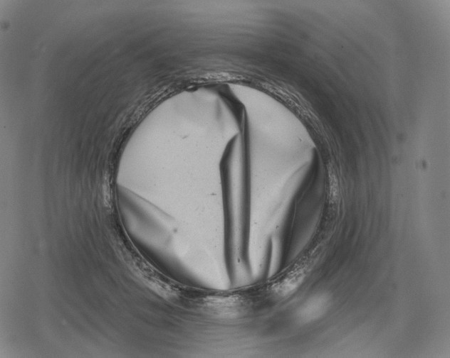 X0000079580457200612221435