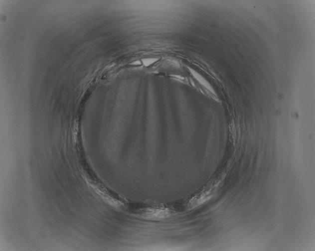 X0000079580458200612221435