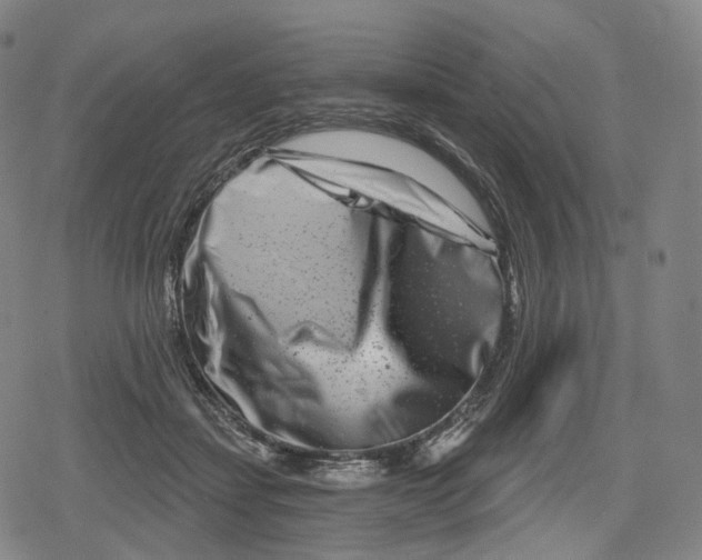 X0000079580459200612221435