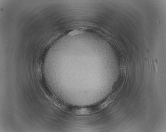 X0000079580460200612221435