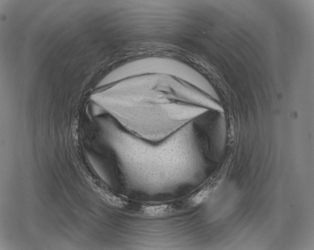 X0000079580461200612221435