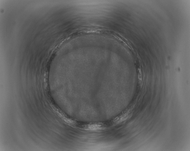 X0000079580462200612221435