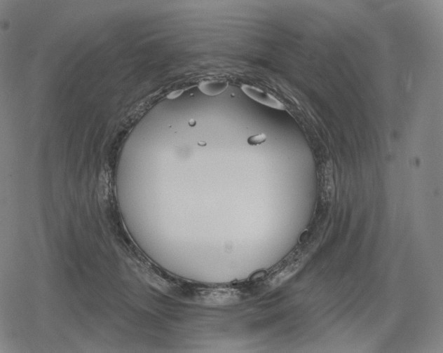 X0000079580463200612221435