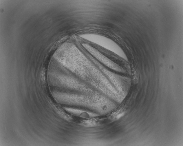 X0000079580466200612221435