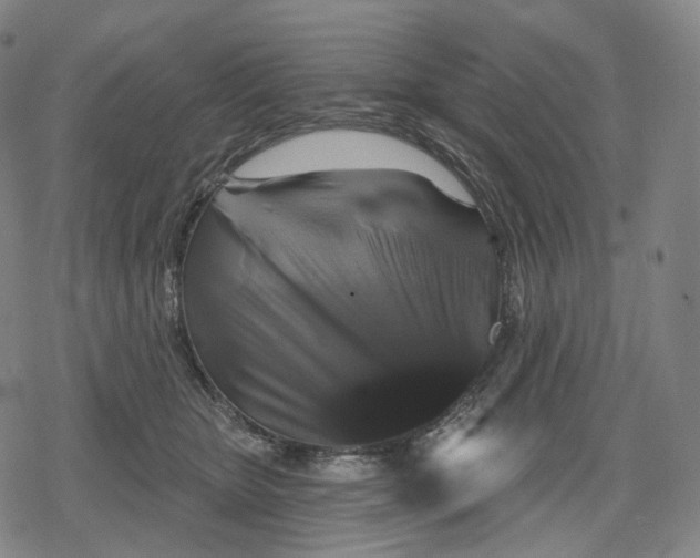 X0000079580467200612221435