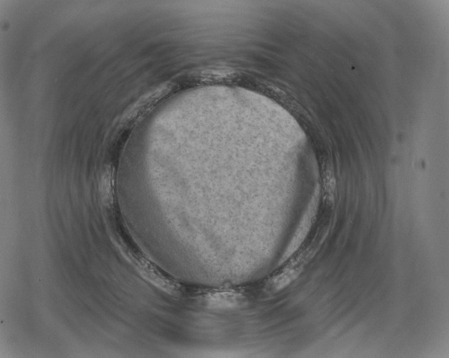 X0000079580468200612221435