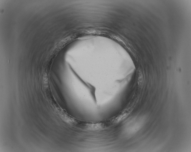 X0000079580469200612221435