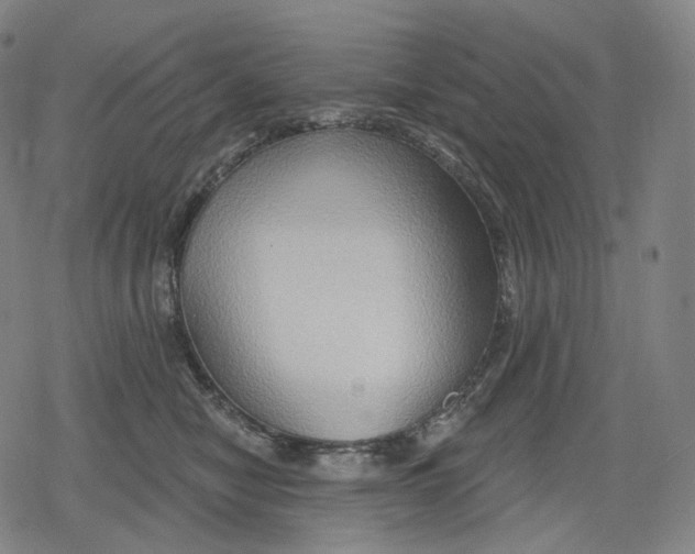 X0000079580470200612221435