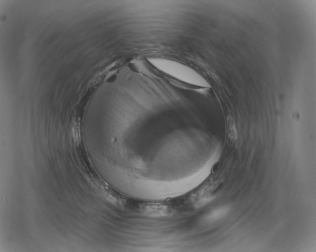 X0000079580471200612221435