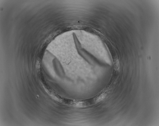 X0000079580472200612221435