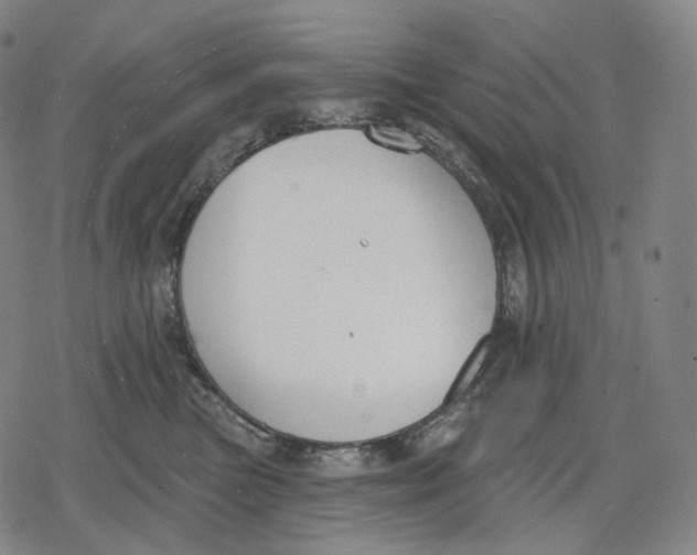 X0000079580473200612221435