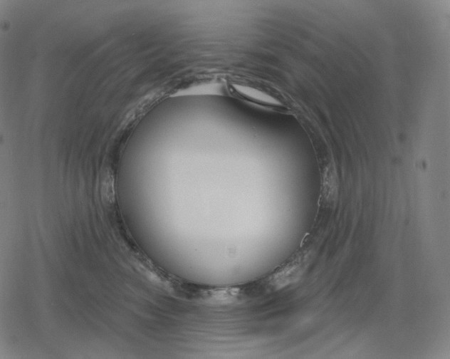 X0000079580474200612221435