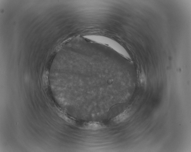 X0000079580475200612221435