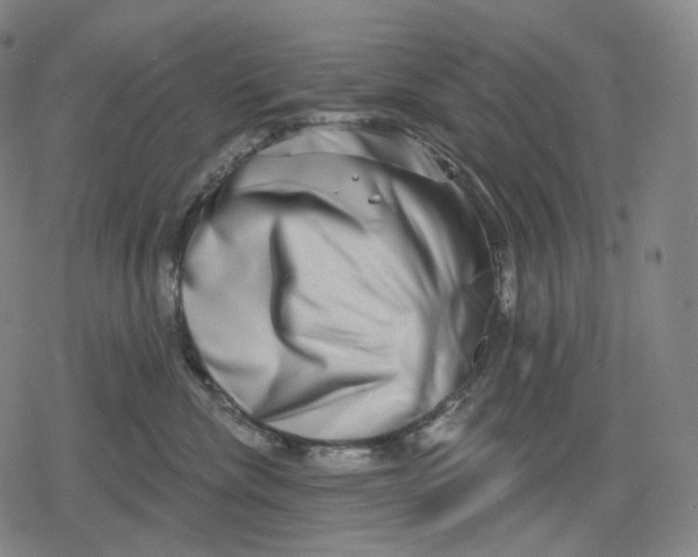 X0000079580476200612221435