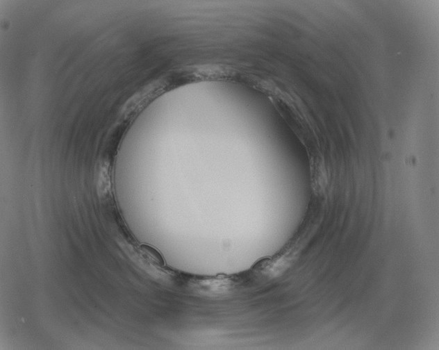 X0000079580478200612221435