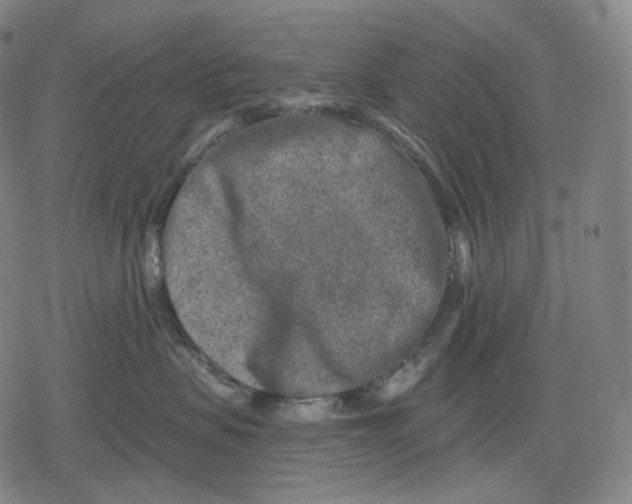 X0000079580479200612221435