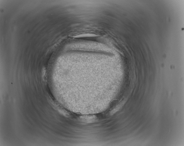 X0000079580480200612221435