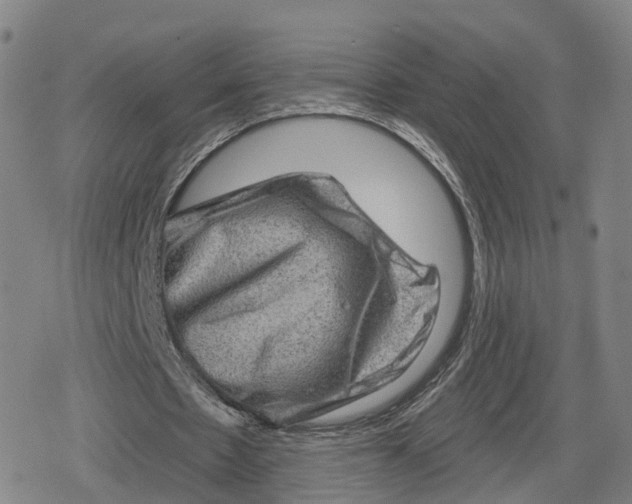 X0000079580481200612221434