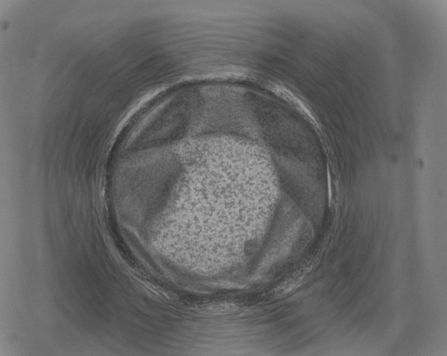 X0000079580483200612221434