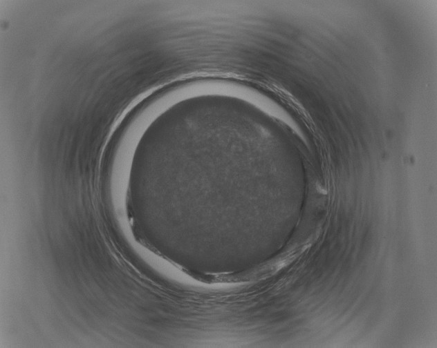 X0000079580484200612221434