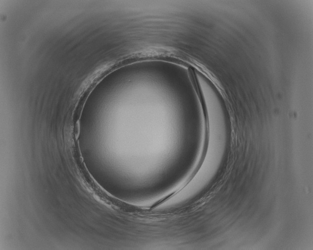 X0000079580485200612221434