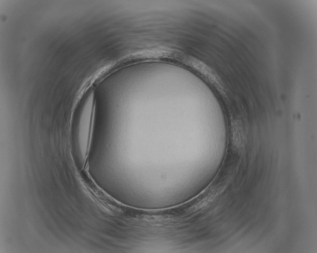 X0000079580486200612221434