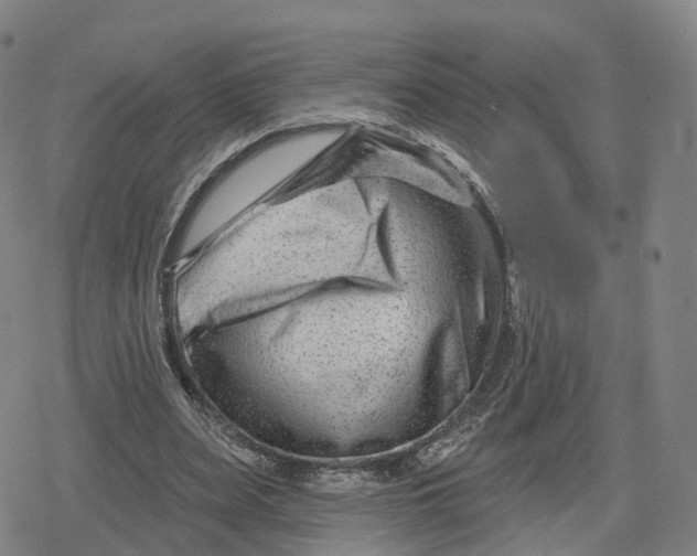 X0000079580487200612221434