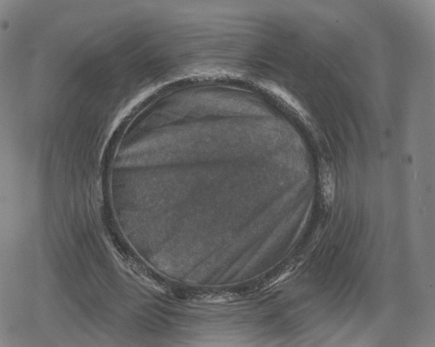 X0000079580488200612221434