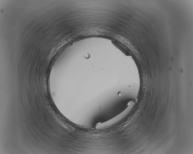 X0000079580489200612221434