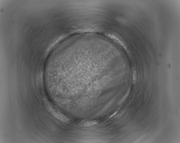 X0000079580491200612221434