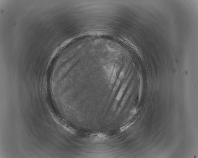 X0000079580492200612221434